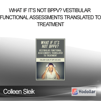 Colleen Sleik - What If It’s Not BPPV? Vestibular Functional Assessments Translated to Treatment