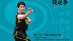 LIANG NAIZHAO - CAI LI FO KUNG FU SERIES