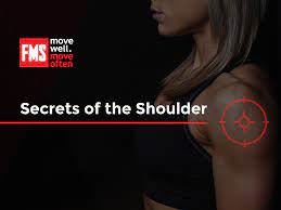 Gray Cook - Secrets of the Shoulder